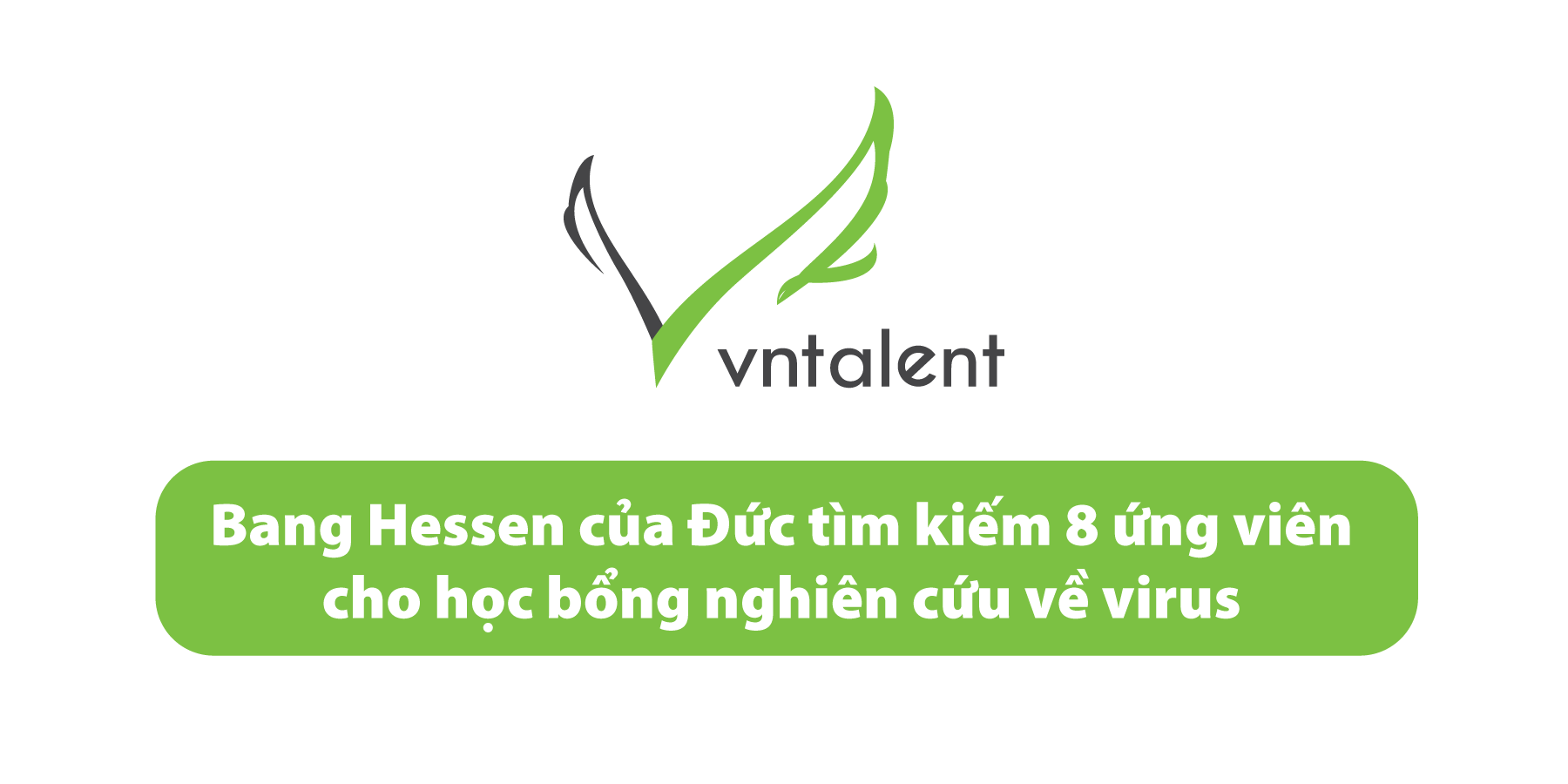 Bang Hessen của Đức tìm kiếm 8 ứng viên cho học bổng nghiên cứu về virus